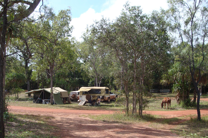 Our camp at Loyalty beach, including horse