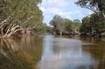 Our bit of the Archer River at the 10 Mile camp