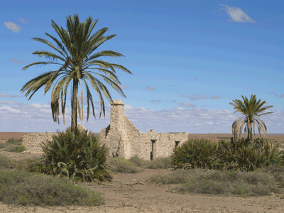Dalhousie ruins—an oasis