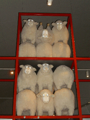 Part of an exhibit in the Fremantle Maritime Museum