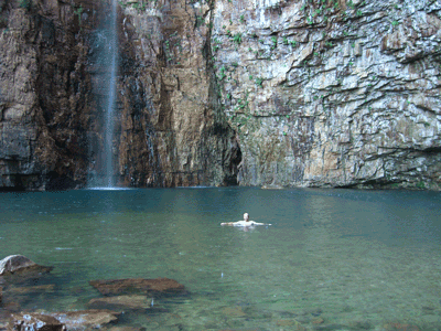 Hutch swimming in the Emma Gorge pool