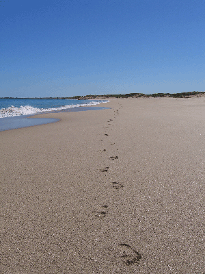 Single footsteps in the sand
