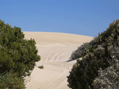 One of the tracks that vanish into the dunes in Coffin Bay National Park