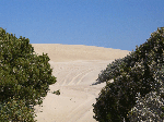 One of the tracks that vanish into the dunes in Coffin Bay National Park
